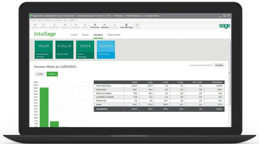 Utilisation de Sage 100 au Maroc pour une gestion d'entreprise efficace.